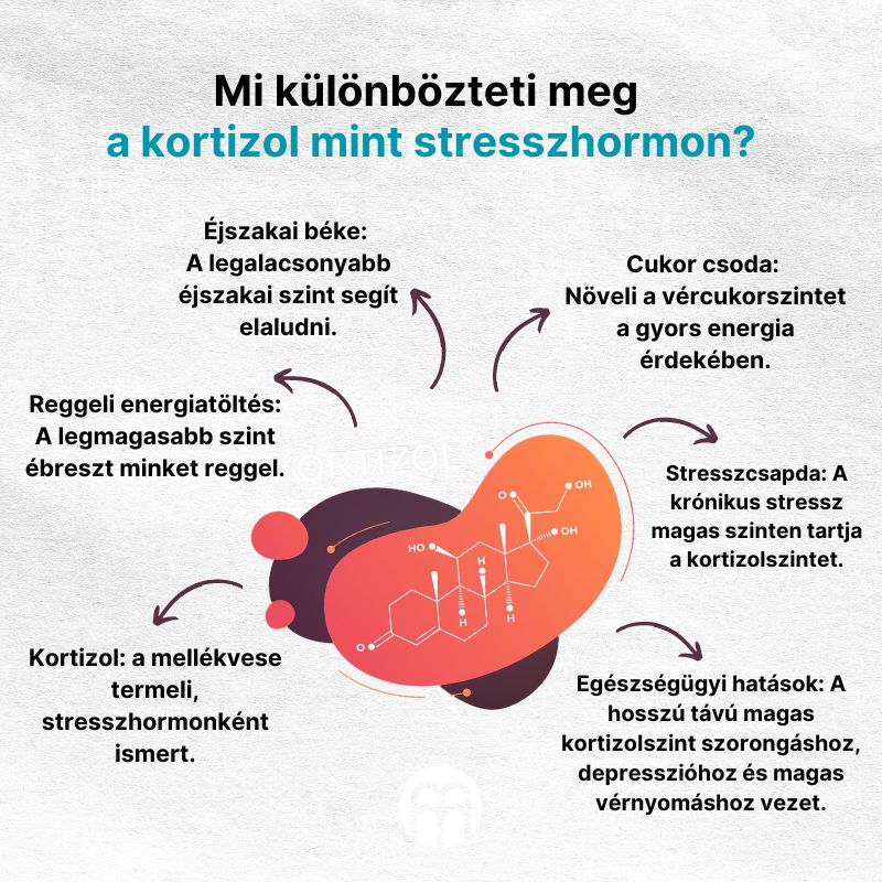 (Maďarština) (Italština) Čím se vyznačuje kortizol  jako hormon stresu (1)